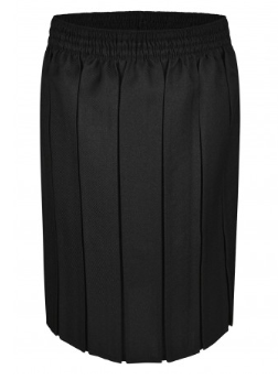 Innovation Box Pleat Skirt