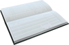 Scorebook 100 Innings