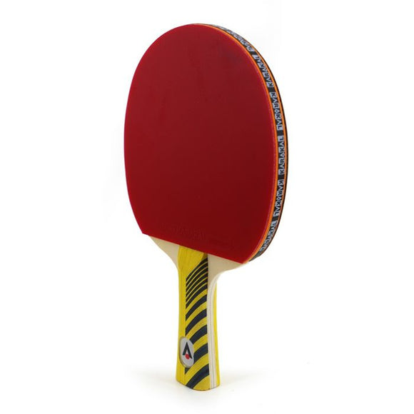 KTT 300 TT Bat